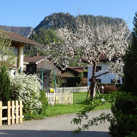 Ferienhaeuschen Apartment Inzell Exterior photo