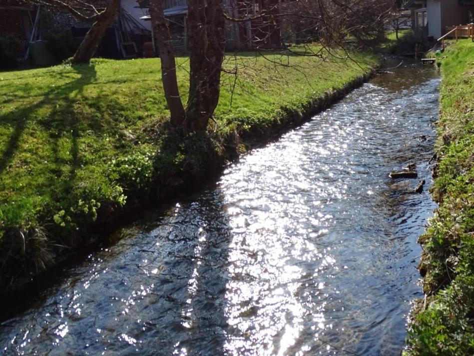 Ferienhaeuschen Inzell